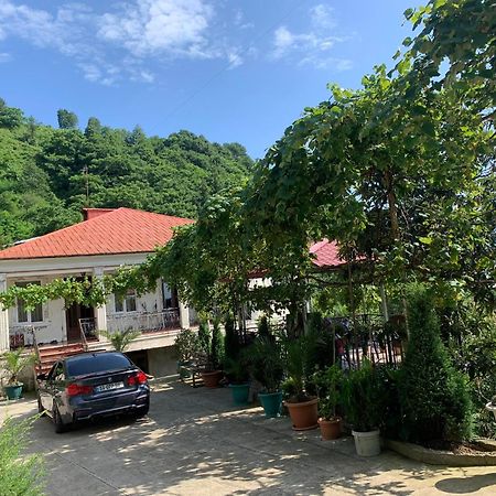 Guesthouse Mtsvane Koncxi 22 ムツヴァネ・コンスキ エクステリア 写真